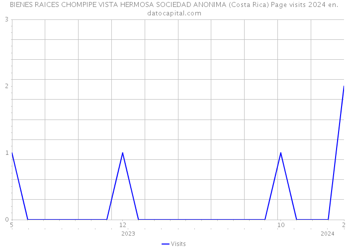 BIENES RAICES CHOMPIPE VISTA HERMOSA SOCIEDAD ANONIMA (Costa Rica) Page visits 2024 