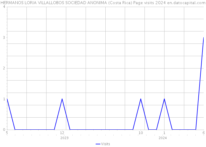 HERMANOS LORIA VILLALLOBOS SOCIEDAD ANONIMA (Costa Rica) Page visits 2024 