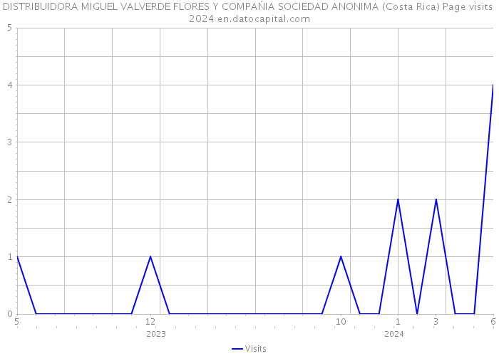DISTRIBUIDORA MIGUEL VALVERDE FLORES Y COMPAŃIA SOCIEDAD ANONIMA (Costa Rica) Page visits 2024 