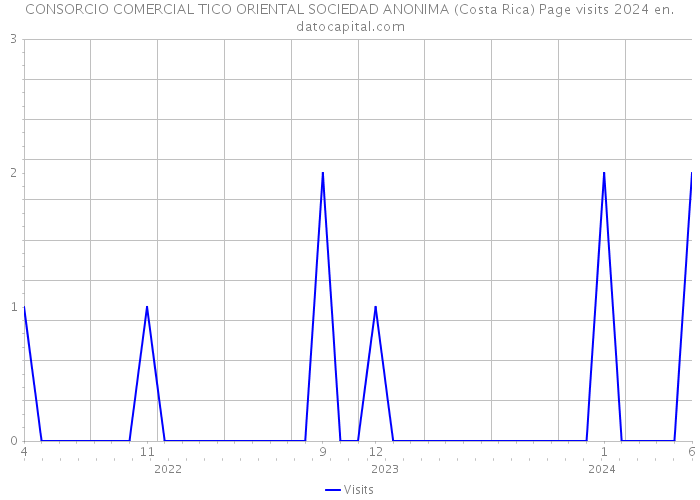 CONSORCIO COMERCIAL TICO ORIENTAL SOCIEDAD ANONIMA (Costa Rica) Page visits 2024 