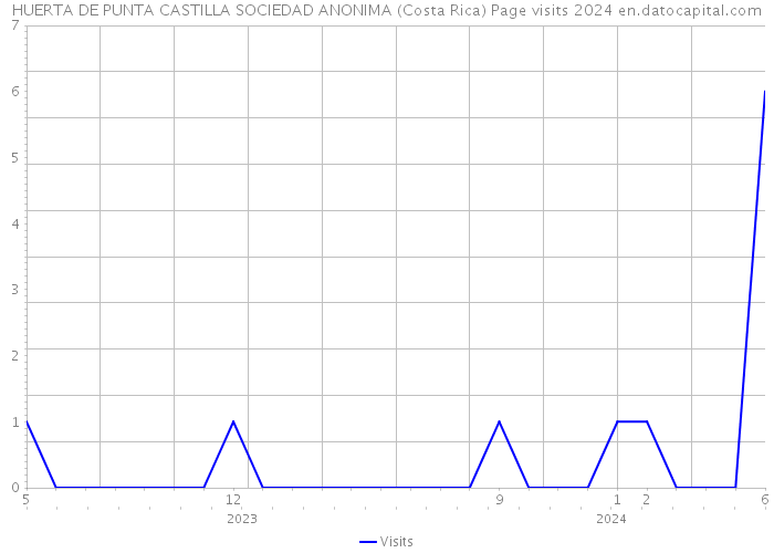 HUERTA DE PUNTA CASTILLA SOCIEDAD ANONIMA (Costa Rica) Page visits 2024 