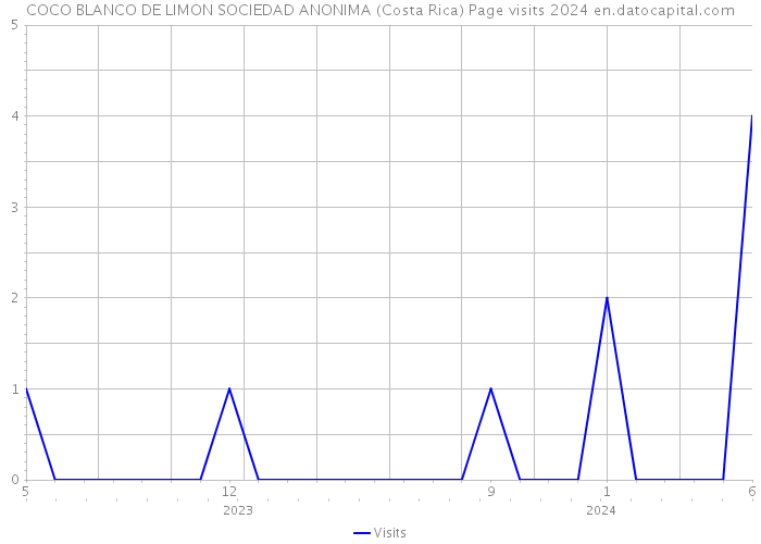 COCO BLANCO DE LIMON SOCIEDAD ANONIMA (Costa Rica) Page visits 2024 
