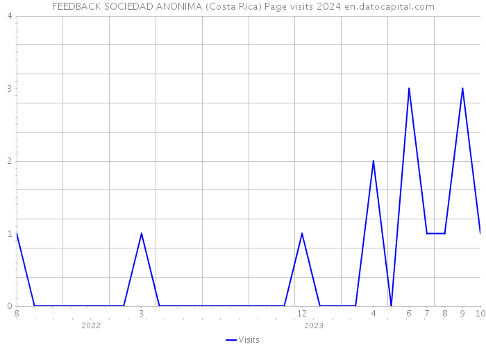 FEEDBACK SOCIEDAD ANONIMA (Costa Rica) Page visits 2024 