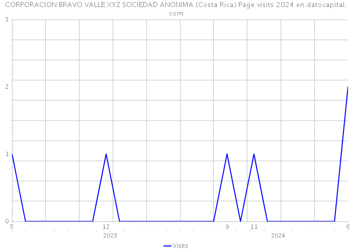 CORPORACION BRAVO VALLE XYZ SOCIEDAD ANONIMA (Costa Rica) Page visits 2024 