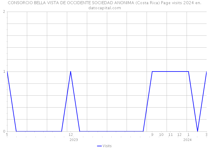 CONSORCIO BELLA VISTA DE OCCIDENTE SOCIEDAD ANONIMA (Costa Rica) Page visits 2024 