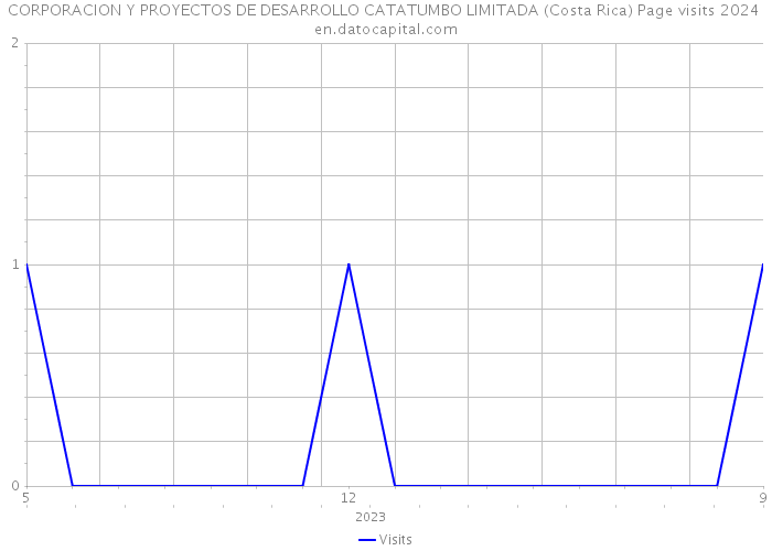 CORPORACION Y PROYECTOS DE DESARROLLO CATATUMBO LIMITADA (Costa Rica) Page visits 2024 
