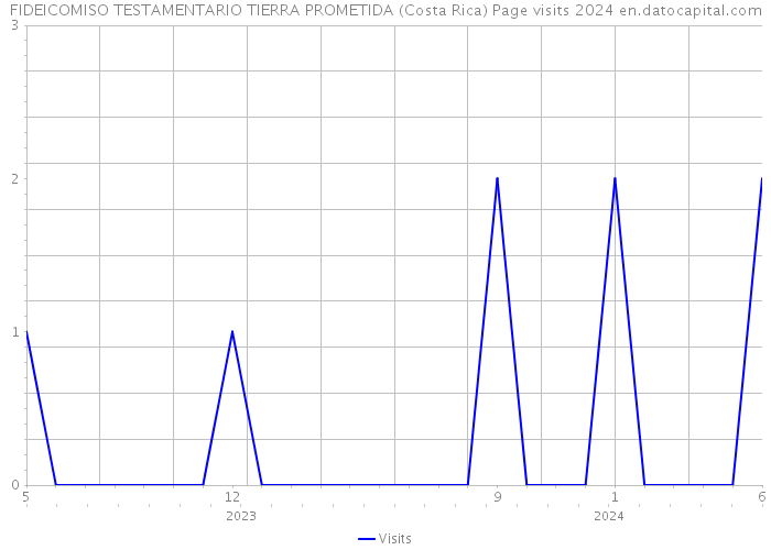 FIDEICOMISO TESTAMENTARIO TIERRA PROMETIDA (Costa Rica) Page visits 2024 