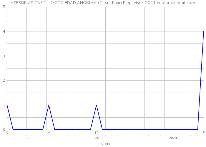 ASESORIAS CASTILLO SOCIEDAD ANONIMA (Costa Rica) Page visits 2024 