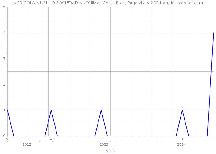 AGRICOLA MURILLO SOCIEDAD ANONIMA (Costa Rica) Page visits 2024 