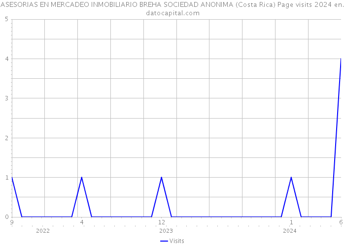 ASESORIAS EN MERCADEO INMOBILIARIO BREHA SOCIEDAD ANONIMA (Costa Rica) Page visits 2024 