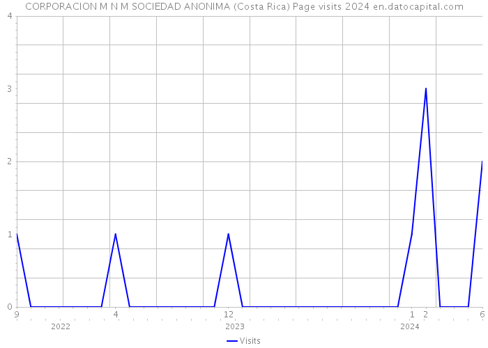 CORPORACION M N M SOCIEDAD ANONIMA (Costa Rica) Page visits 2024 