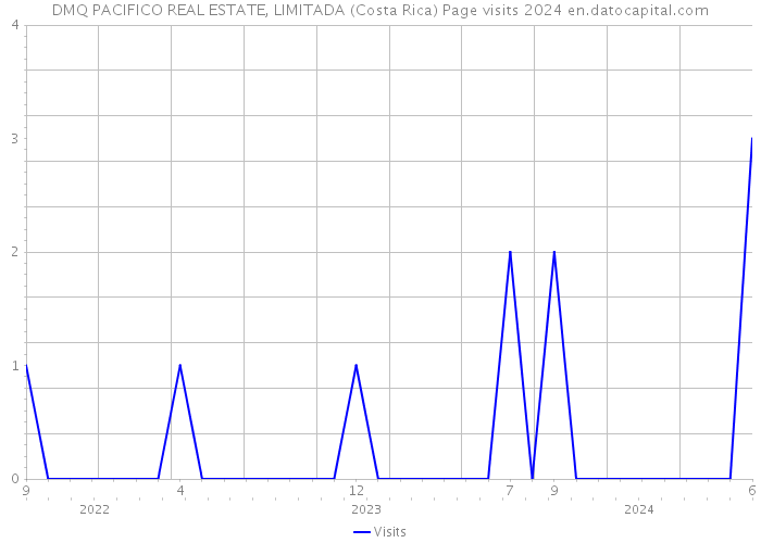 DMQ PACIFICO REAL ESTATE, LIMITADA (Costa Rica) Page visits 2024 
