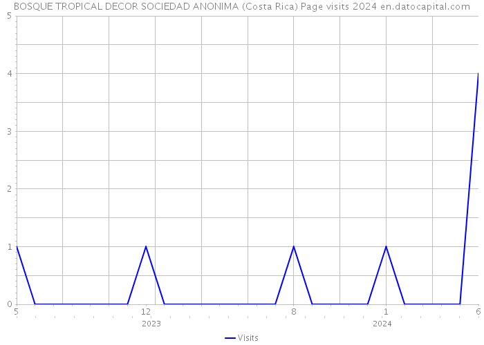 BOSQUE TROPICAL DECOR SOCIEDAD ANONIMA (Costa Rica) Page visits 2024 