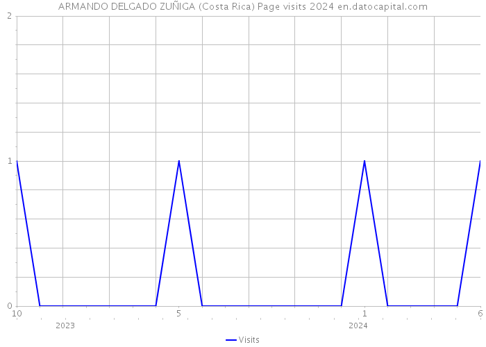 ARMANDO DELGADO ZUÑIGA (Costa Rica) Page visits 2024 