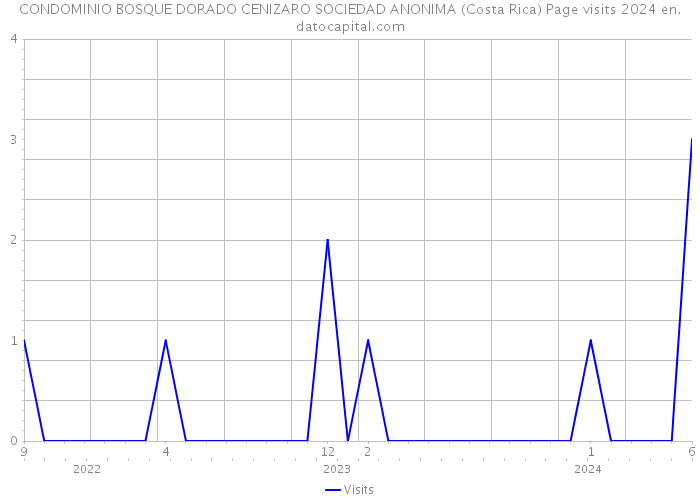CONDOMINIO BOSQUE DORADO CENIZARO SOCIEDAD ANONIMA (Costa Rica) Page visits 2024 