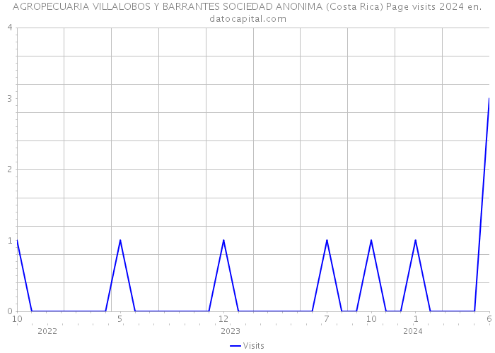AGROPECUARIA VILLALOBOS Y BARRANTES SOCIEDAD ANONIMA (Costa Rica) Page visits 2024 