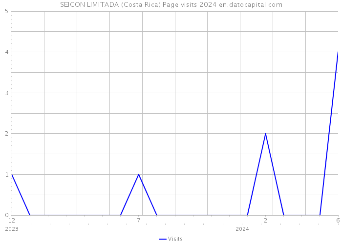 SEICON LIMITADA (Costa Rica) Page visits 2024 