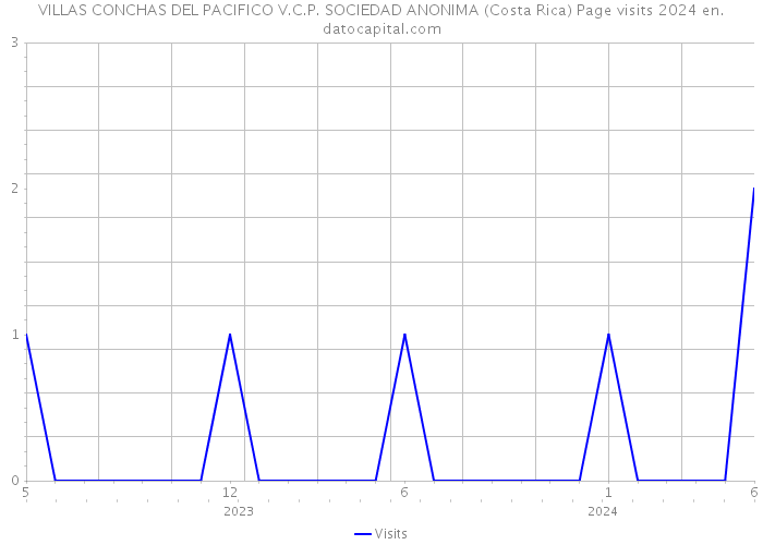 VILLAS CONCHAS DEL PACIFICO V.C.P. SOCIEDAD ANONIMA (Costa Rica) Page visits 2024 