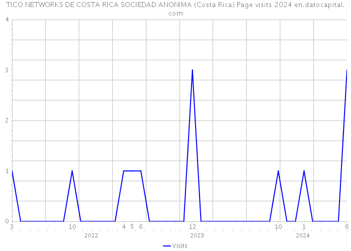 TICO NETWORKS DE COSTA RICA SOCIEDAD ANONIMA (Costa Rica) Page visits 2024 