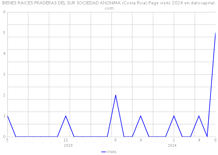 BIENES RAICES PRADERAS DEL SUR SOCIEDAD ANONIMA (Costa Rica) Page visits 2024 