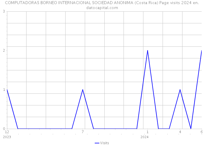 COMPUTADORAS BORNEO INTERNACIONAL SOCIEDAD ANONIMA (Costa Rica) Page visits 2024 