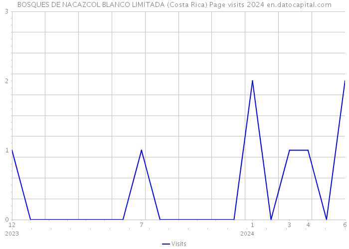 BOSQUES DE NACAZCOL BLANCO LIMITADA (Costa Rica) Page visits 2024 