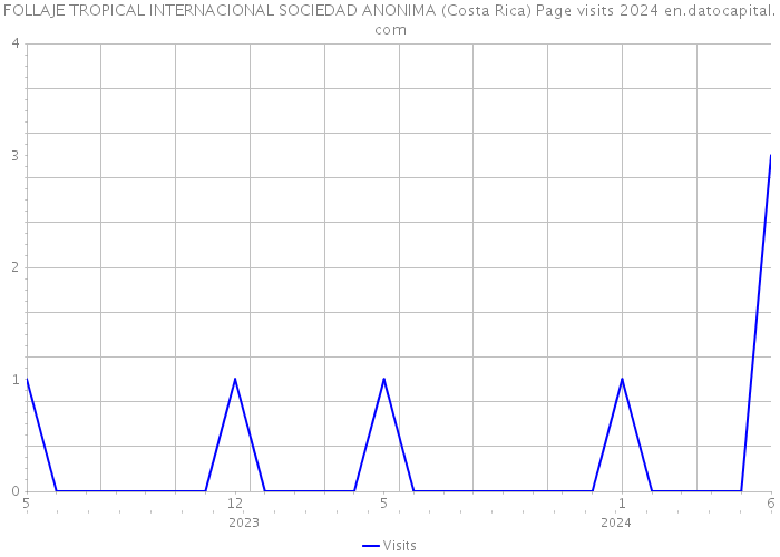 FOLLAJE TROPICAL INTERNACIONAL SOCIEDAD ANONIMA (Costa Rica) Page visits 2024 