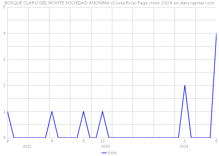 BOSQUE CLARO DEL MONTE SOCIEDAD ANONIMA (Costa Rica) Page visits 2024 