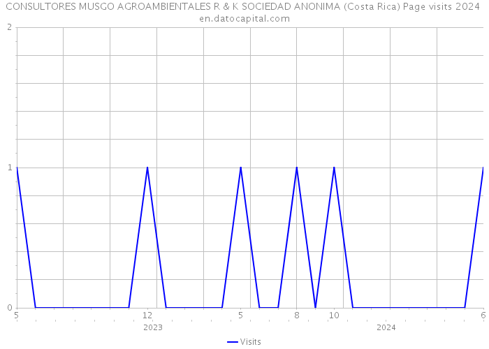 CONSULTORES MUSGO AGROAMBIENTALES R & K SOCIEDAD ANONIMA (Costa Rica) Page visits 2024 