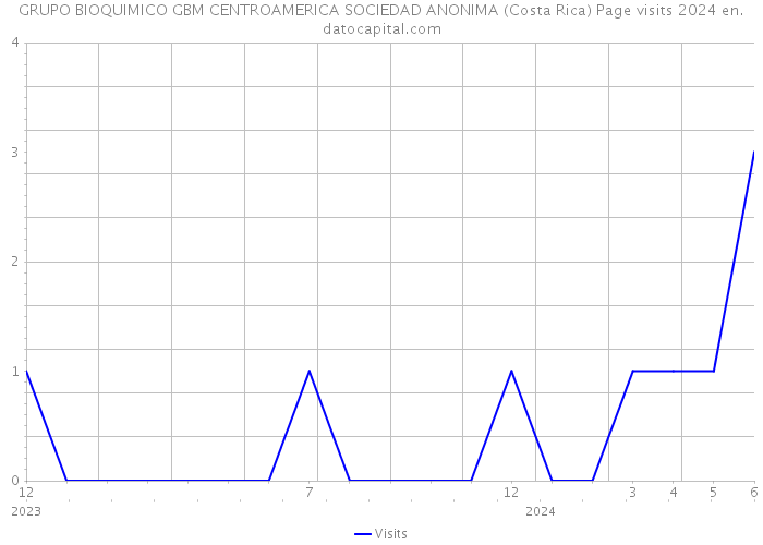 GRUPO BIOQUIMICO GBM CENTROAMERICA SOCIEDAD ANONIMA (Costa Rica) Page visits 2024 
