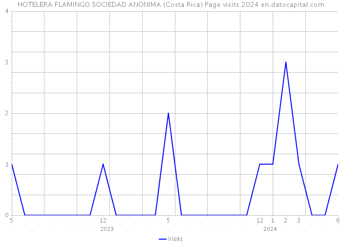 HOTELERA FLAMINGO SOCIEDAD ANONIMA (Costa Rica) Page visits 2024 