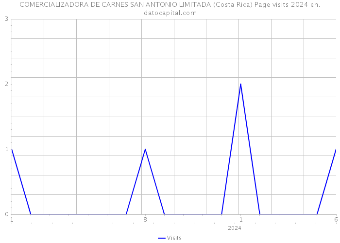 COMERCIALIZADORA DE CARNES SAN ANTONIO LIMITADA (Costa Rica) Page visits 2024 