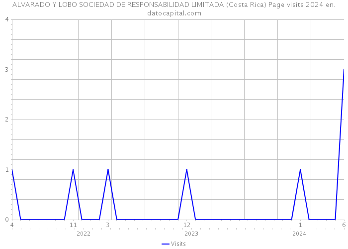 ALVARADO Y LOBO SOCIEDAD DE RESPONSABILIDAD LIMITADA (Costa Rica) Page visits 2024 