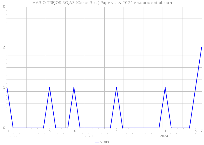 MARIO TREJOS ROJAS (Costa Rica) Page visits 2024 