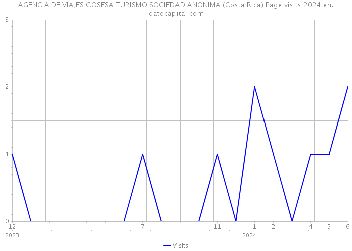 AGENCIA DE VIAJES COSESA TURISMO SOCIEDAD ANONIMA (Costa Rica) Page visits 2024 