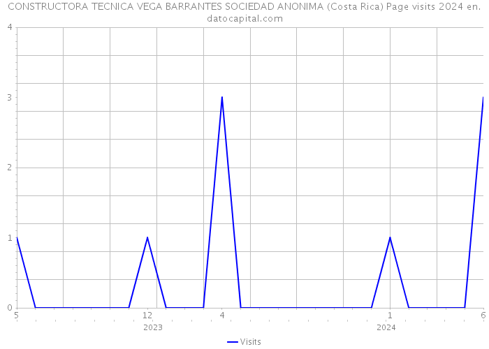 CONSTRUCTORA TECNICA VEGA BARRANTES SOCIEDAD ANONIMA (Costa Rica) Page visits 2024 