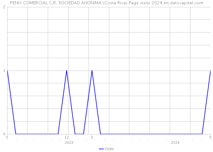 FENIX COMERCIAL C.R. SOCIEDAD ANONIMA (Costa Rica) Page visits 2024 