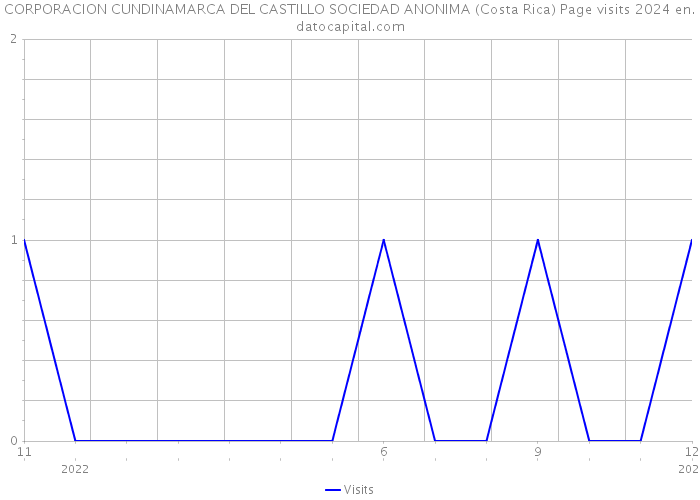 CORPORACION CUNDINAMARCA DEL CASTILLO SOCIEDAD ANONIMA (Costa Rica) Page visits 2024 