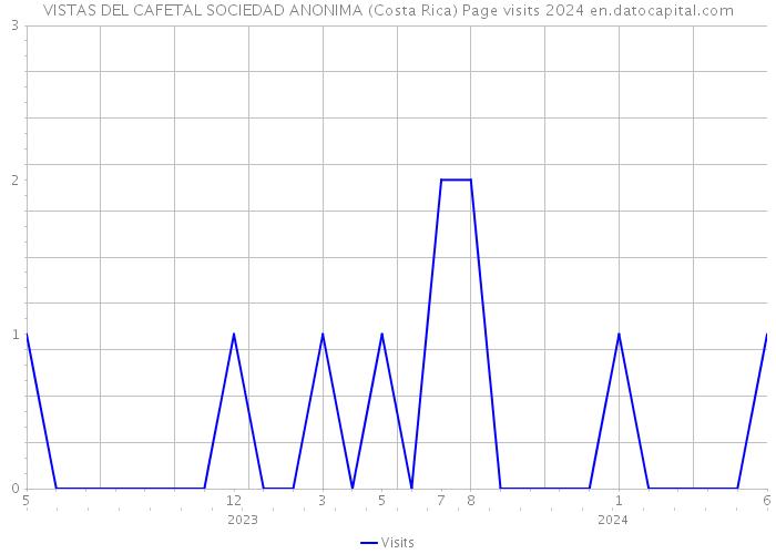 VISTAS DEL CAFETAL SOCIEDAD ANONIMA (Costa Rica) Page visits 2024 