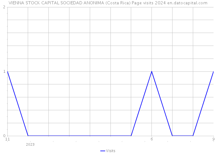 VIENNA STOCK CAPITAL SOCIEDAD ANONIMA (Costa Rica) Page visits 2024 