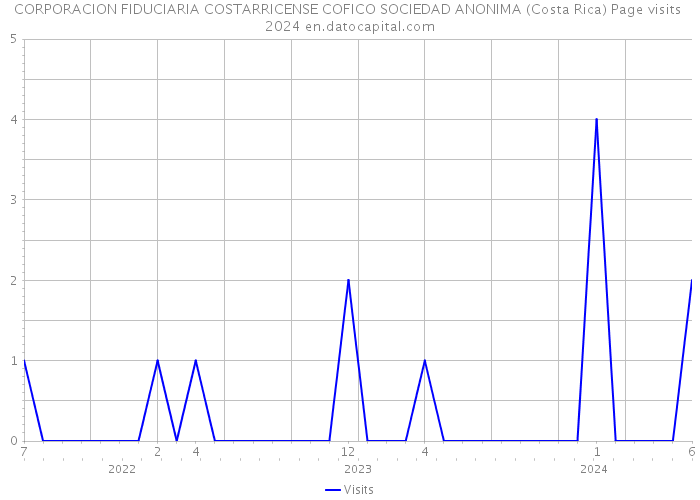 CORPORACION FIDUCIARIA COSTARRICENSE COFICO SOCIEDAD ANONIMA (Costa Rica) Page visits 2024 