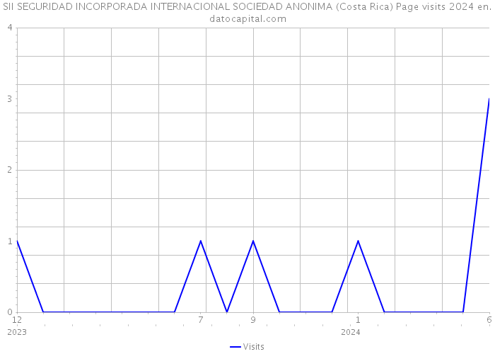 SII SEGURIDAD INCORPORADA INTERNACIONAL SOCIEDAD ANONIMA (Costa Rica) Page visits 2024 