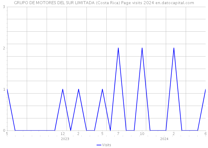 GRUPO DE MOTORES DEL SUR LIMITADA (Costa Rica) Page visits 2024 