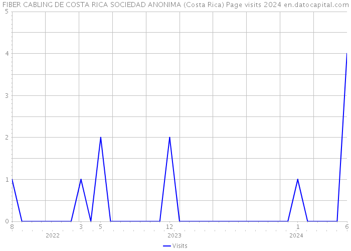 FIBER CABLING DE COSTA RICA SOCIEDAD ANONIMA (Costa Rica) Page visits 2024 