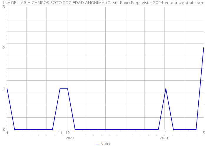 INMOBILIARIA CAMPOS SOTO SOCIEDAD ANONIMA (Costa Rica) Page visits 2024 