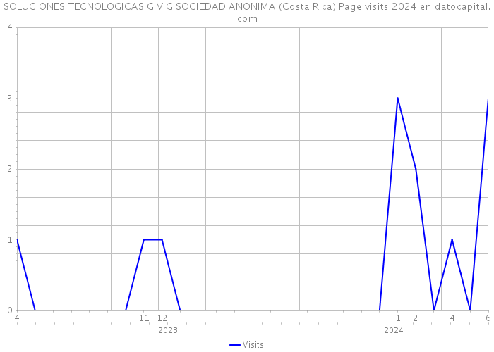 SOLUCIONES TECNOLOGICAS G V G SOCIEDAD ANONIMA (Costa Rica) Page visits 2024 