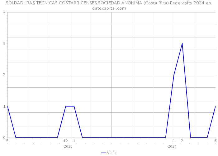 SOLDADURAS TECNICAS COSTARRICENSES SOCIEDAD ANONIMA (Costa Rica) Page visits 2024 