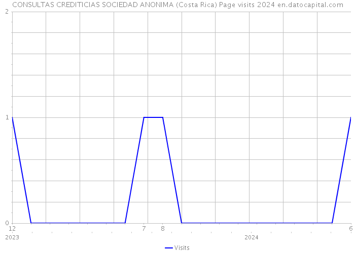 CONSULTAS CREDITICIAS SOCIEDAD ANONIMA (Costa Rica) Page visits 2024 
