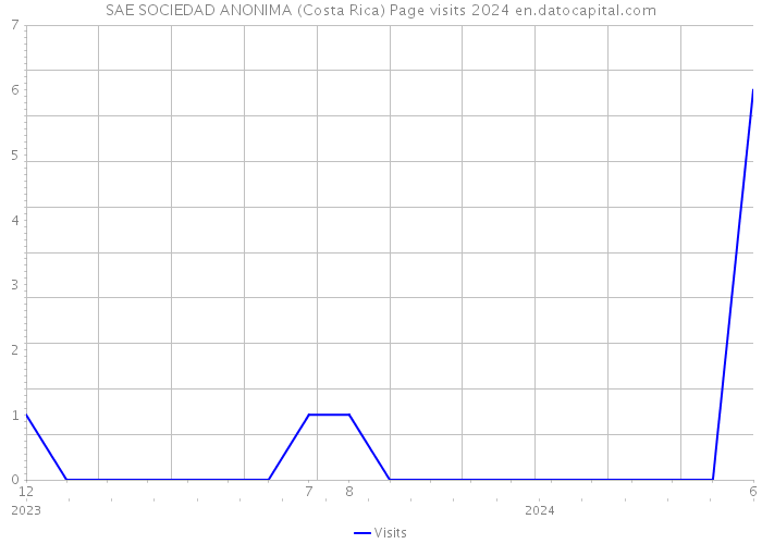 SAE SOCIEDAD ANONIMA (Costa Rica) Page visits 2024 