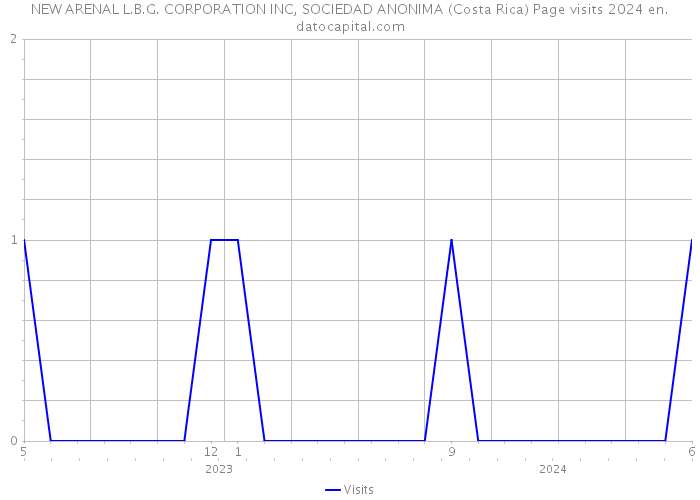 NEW ARENAL L.B.G. CORPORATION INC, SOCIEDAD ANONIMA (Costa Rica) Page visits 2024 